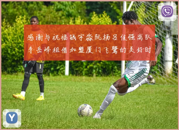 感谢与祝福钱宇淼阮杨吕佳强离队李岳峰租借加盟厦门飞鹭的美好时刻