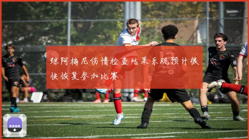 琼阿梅尼伤情检查结果乐观预计很快恢复参加比赛
