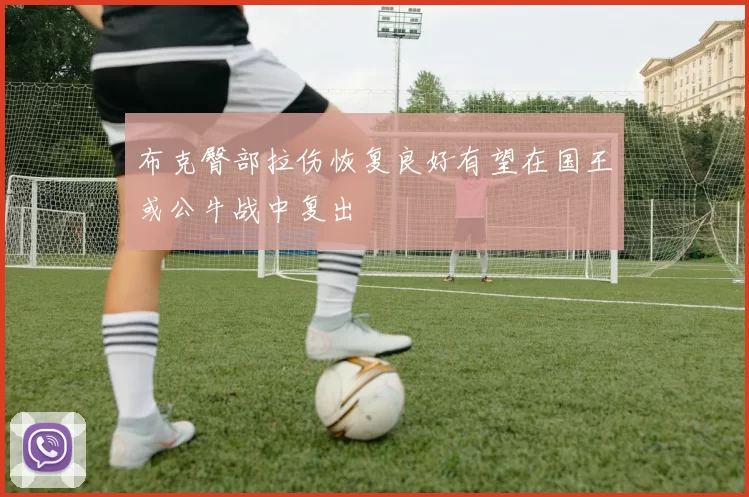 布克臀部拉伤恢复良好有望在国王或公牛战中复出
